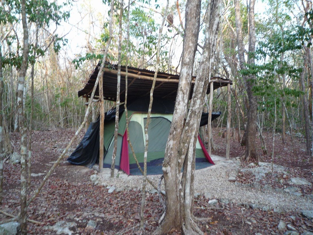 [P1140157.JPG]