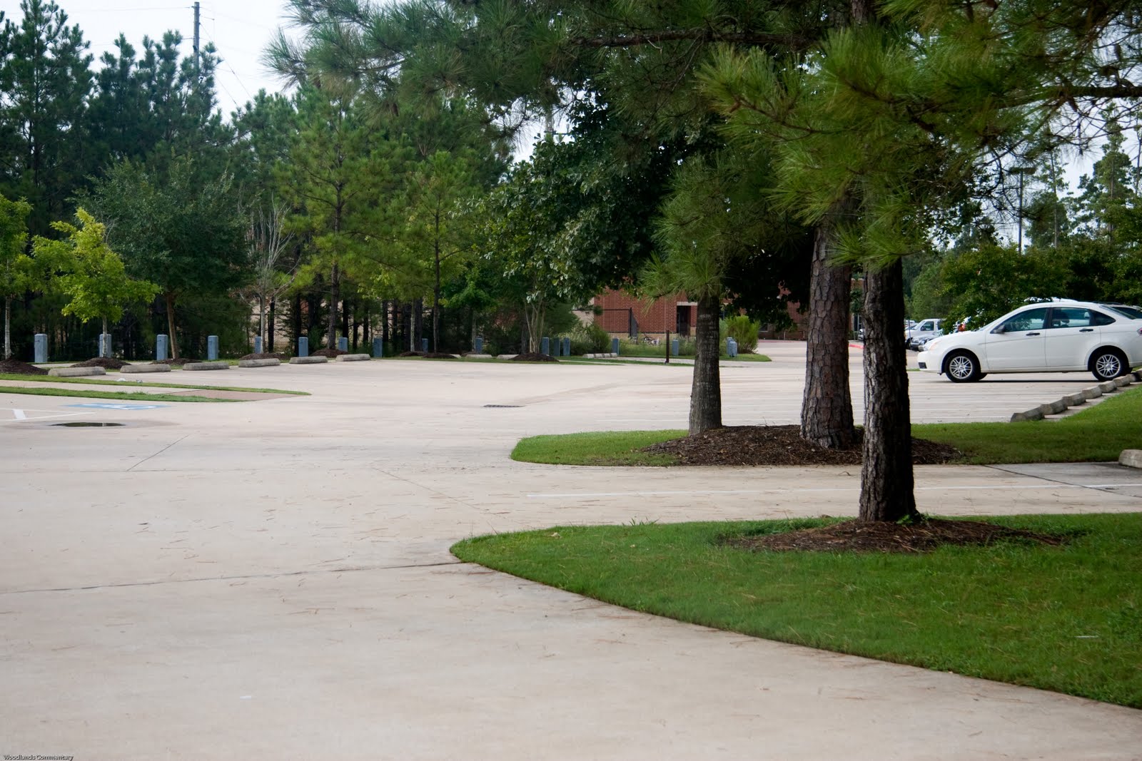 The Woodlands Texas Parks Cranebrook Park in The Woodlands Texas