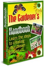 Learn From The Experts