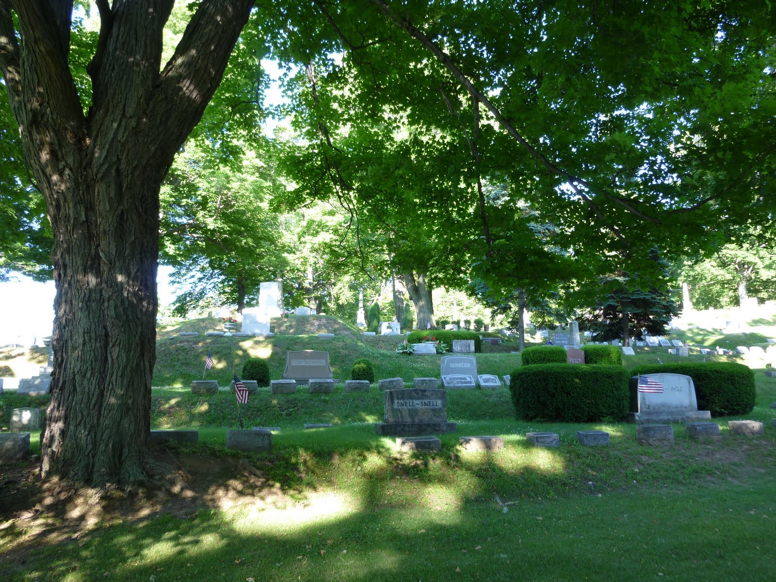 The Unexamined Life Mount Albion Cemetery, Orleans County, NY