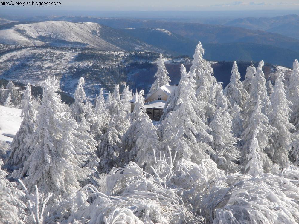 [Bloteigas.PenhasDouradas.3.JPG]