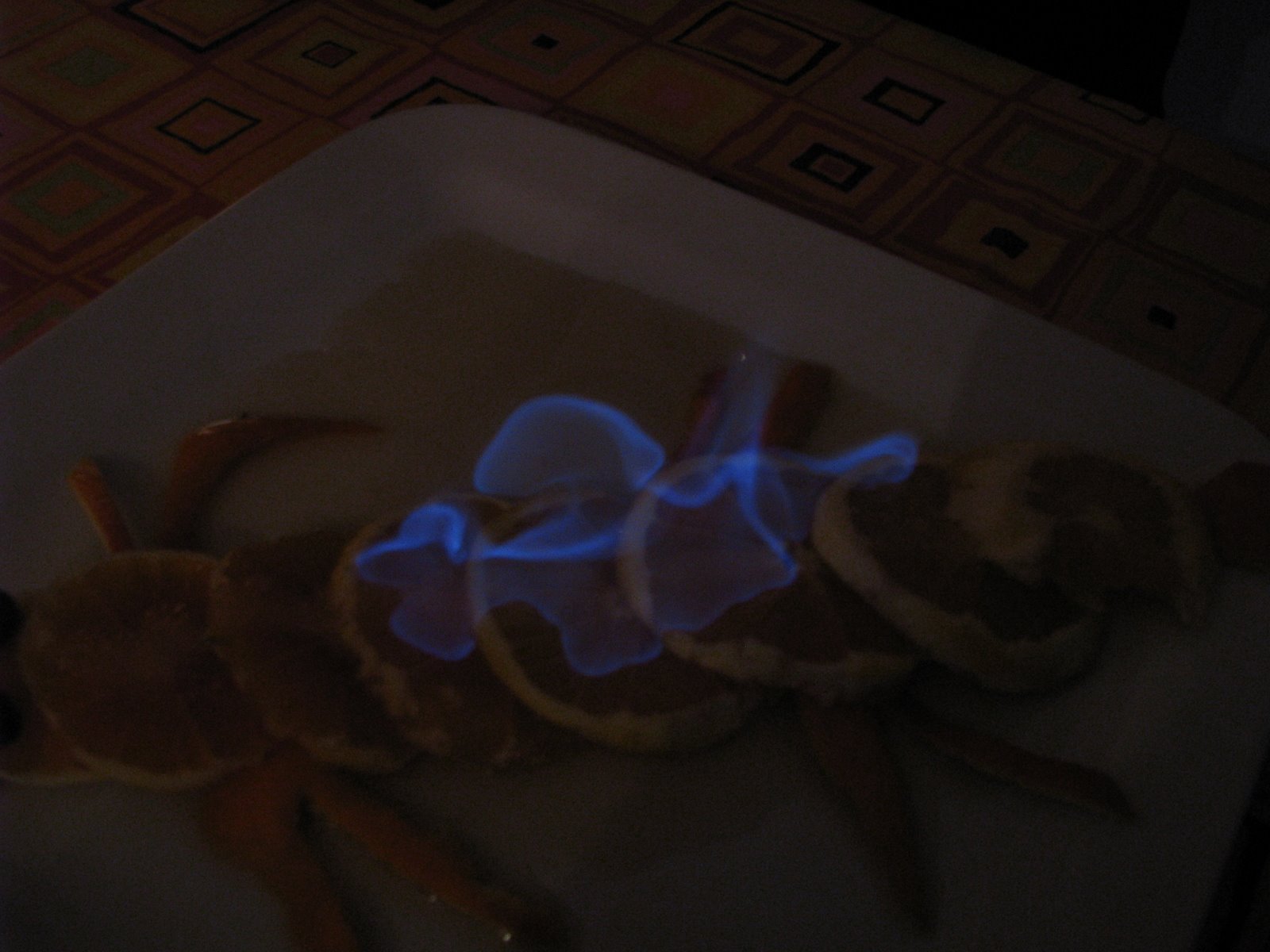 [IMG_0026+17-50-24.JPG]