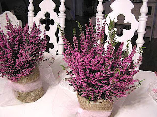Cutepinkstuff...AND MORE!: Valentine Brunch