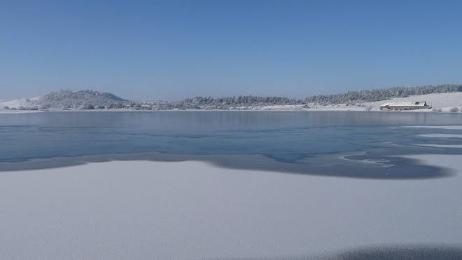 L'INSTANTANE DU MOIS DE... JANVIER 2010