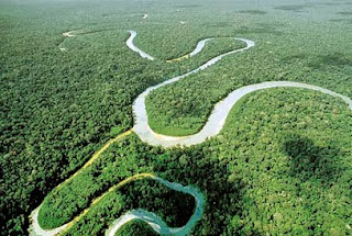 Amazonas