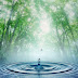 Curiosidades sobre el agua de la lluvia