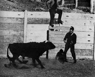 Toro furioso