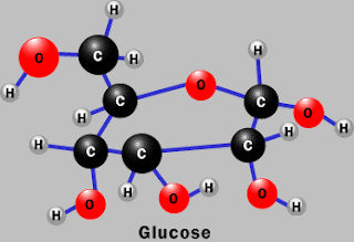 Glucosa