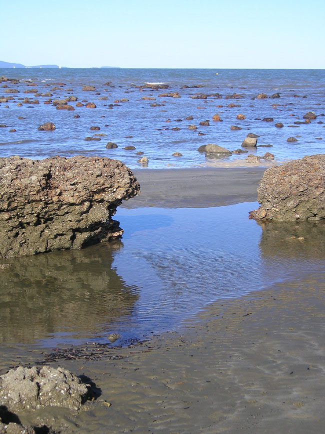 [rock+sea+reflection.jpg]