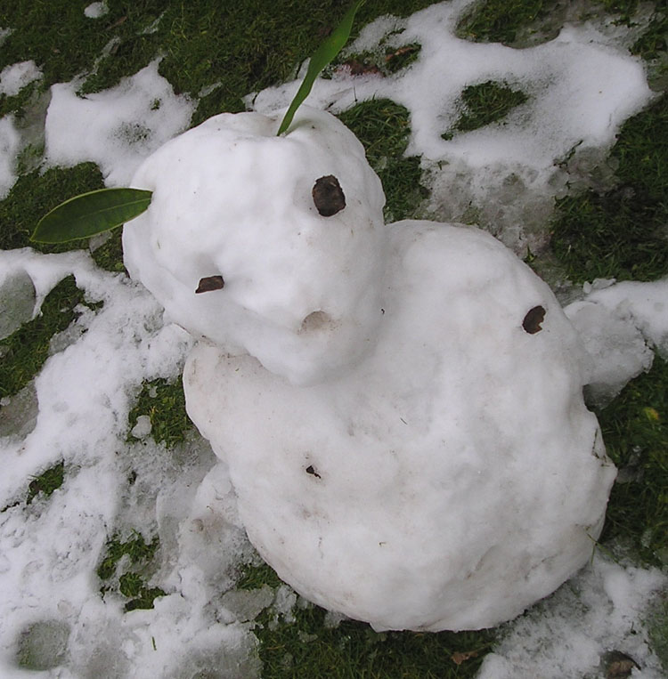 [snowman+botanics+angle.jpg]