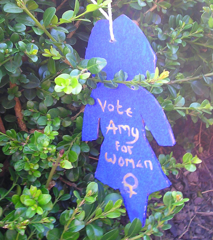 [vote+amy+for+women.jpg]