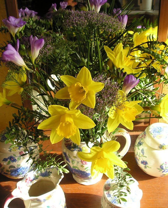 [14-03-09+vase+spring.jpg]