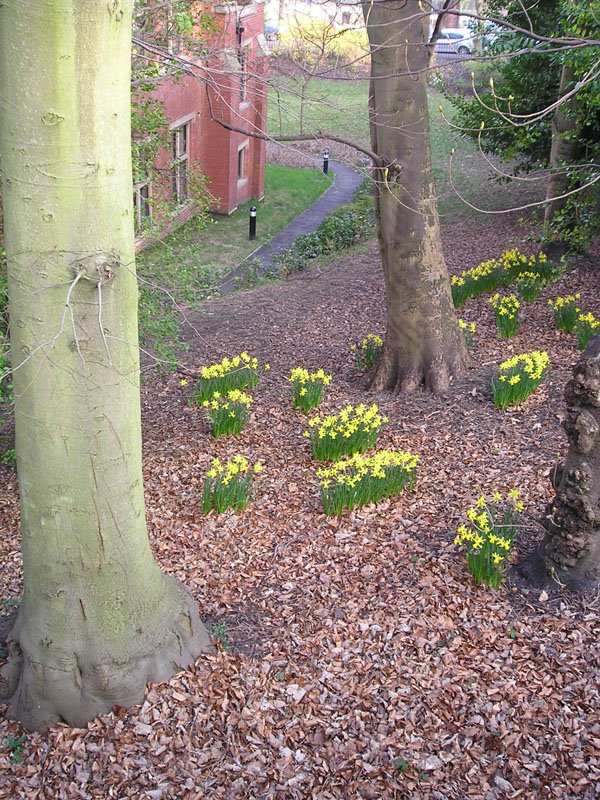 [view+without+pizza+box.jpg]