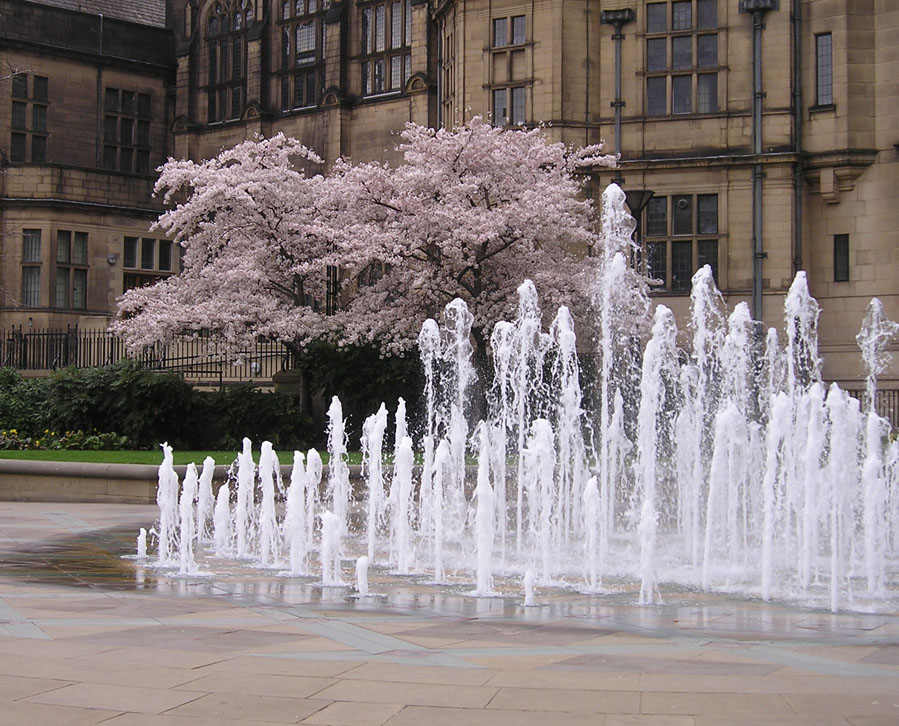 [fountain+cherry+town+hall.jpg]