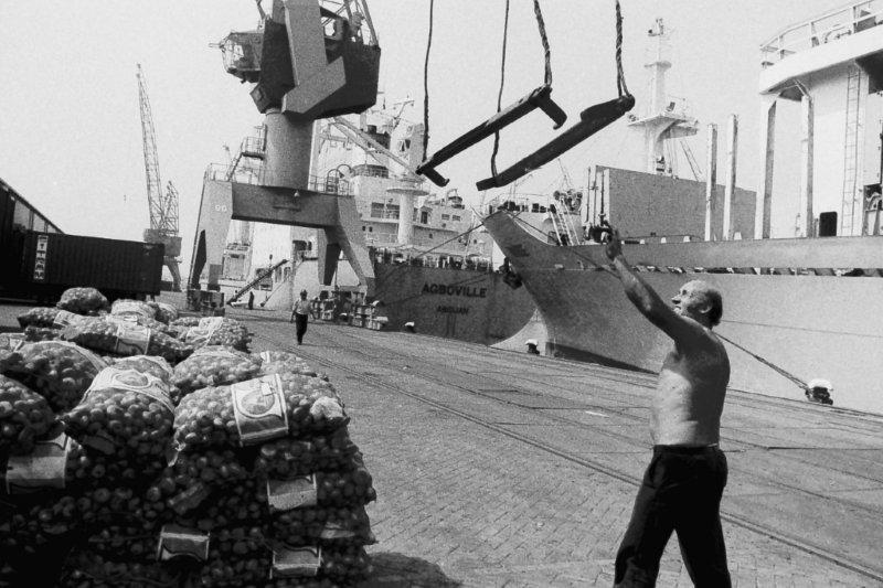 Rotterdam Destijds Havenwerkers in de put en Boeken Rotterdam Destijds Havenwerkers in de put en Boeken