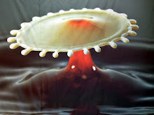 Il miracolo delle piccole cose