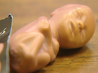 fetus doll, Virginia, abortion rights