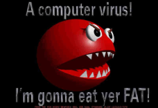 Virus Computer