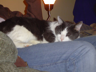 ra sleeping on meaghan's lap at christmas - 2004