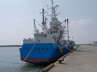 JFV NITTO MARU No35 at ISHINOMAKI