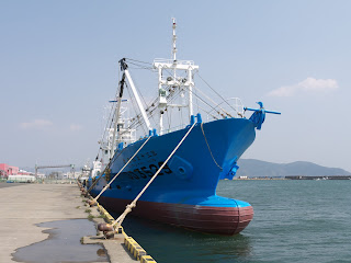 JFV NITTO MARU No35 at ISHINOMAKI