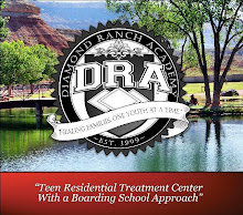 Diamond Ranch Academy Website
