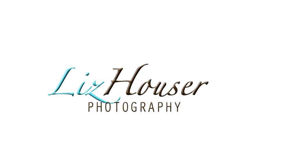 liz houser photography