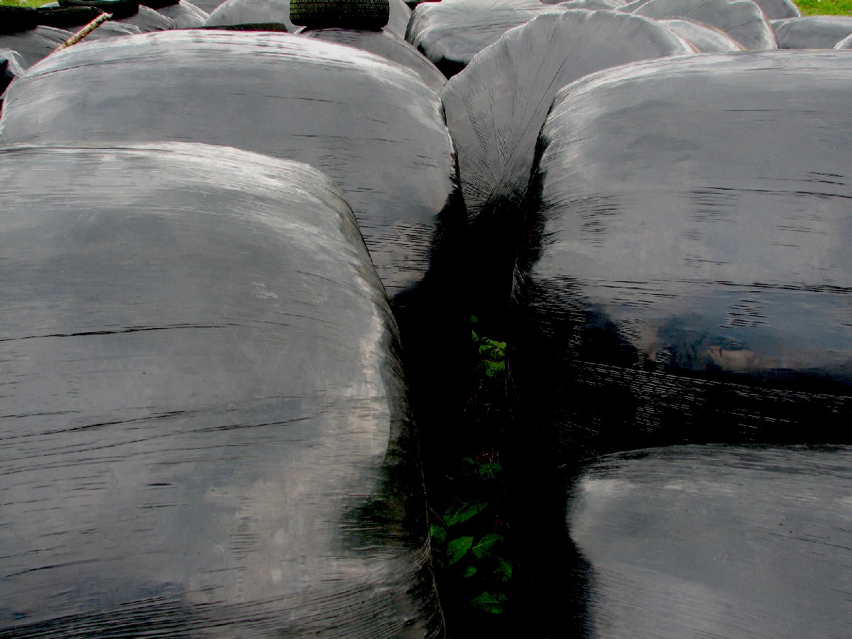 [@444-080320-5432-M-Hierba+embalada.jpg]