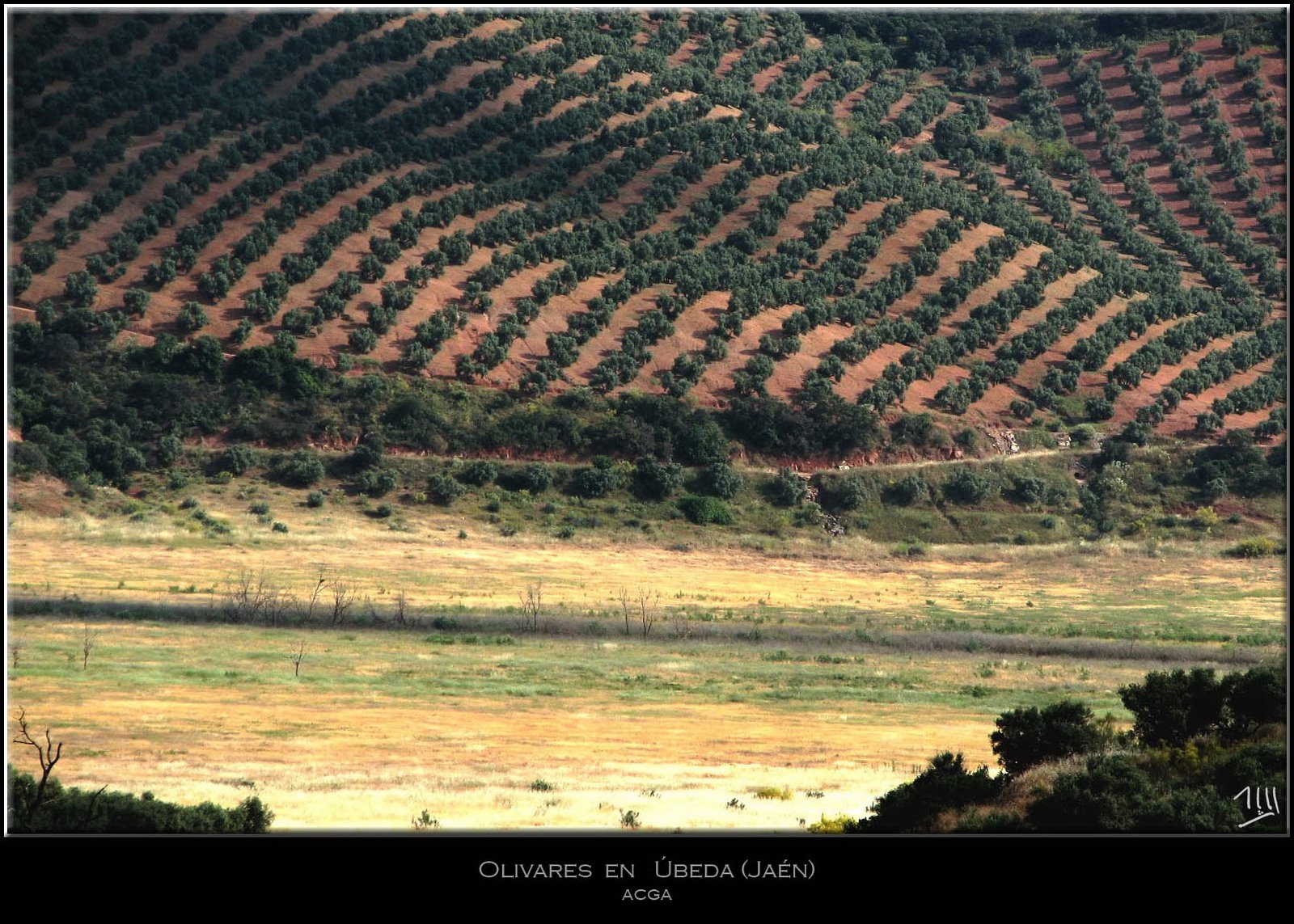 [@707-070605-VV07-03-Cerca+de+Ãšbeda-Olivares-REC2.jpg]