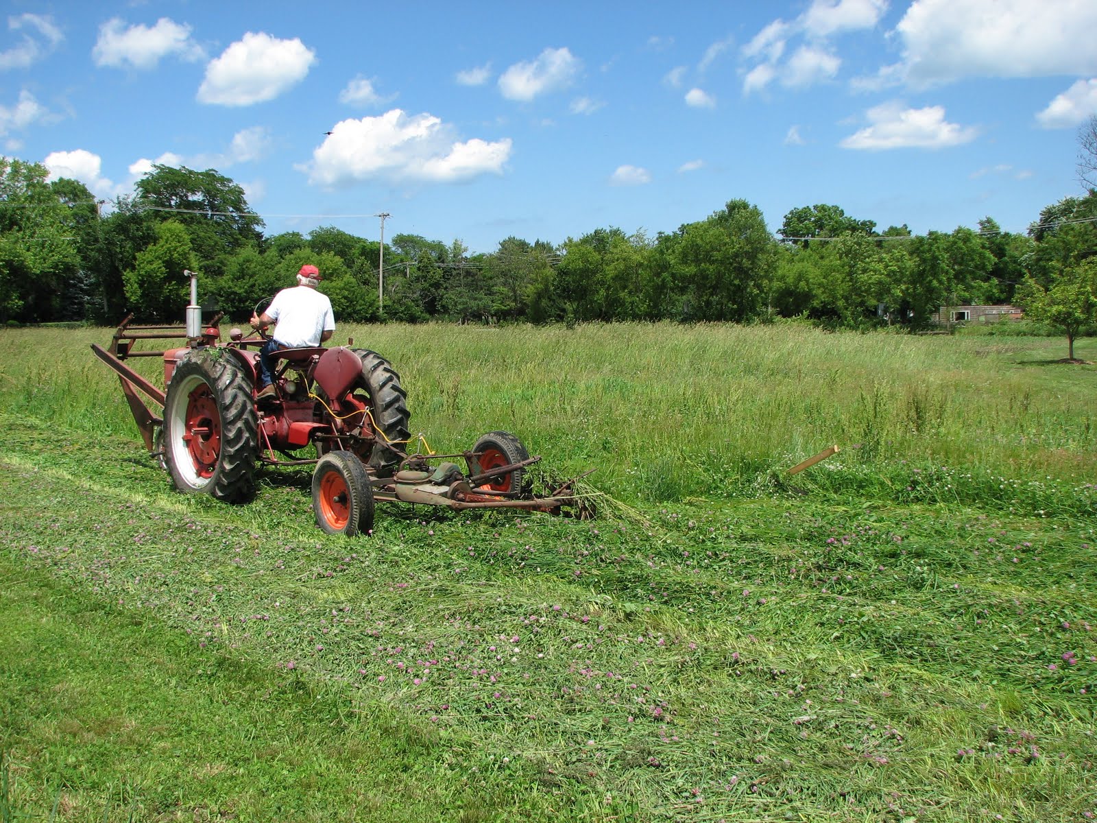 Wagner Feed Mowing hay