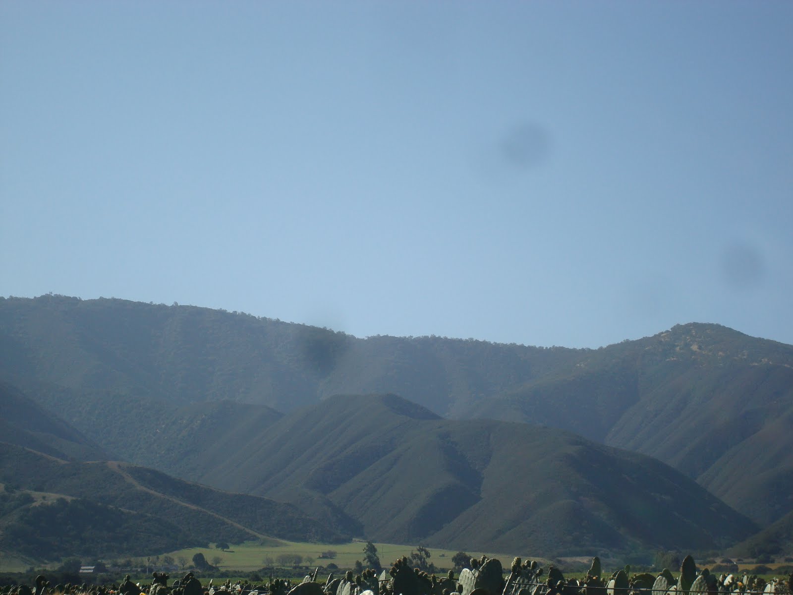 [DSC06870.JPG]