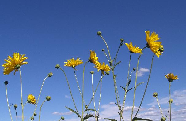 [Agosto+2007+031+luisa.jpg]