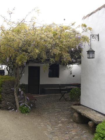 [CIMG3952+menor.jpg]