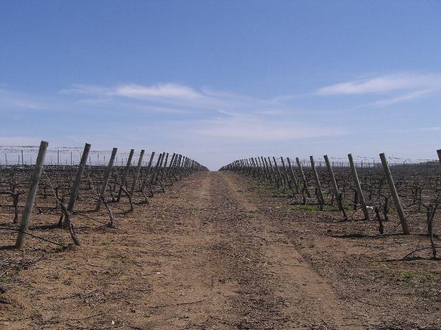 [CIMG3879+menor.jpg]