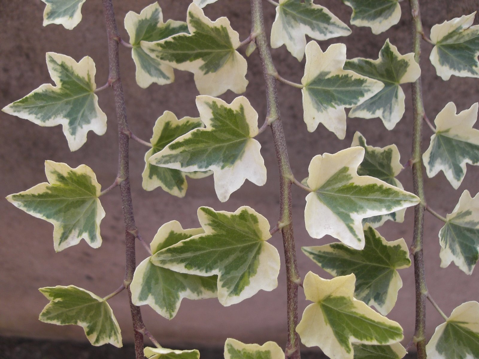 [Setembro+2006+008.jpg]