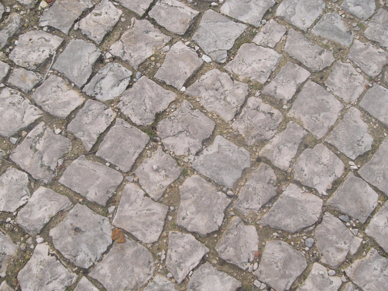 [Dezembro+2006+084.jpg]