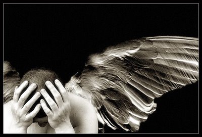 [70918214_358936e4c4.jpg]