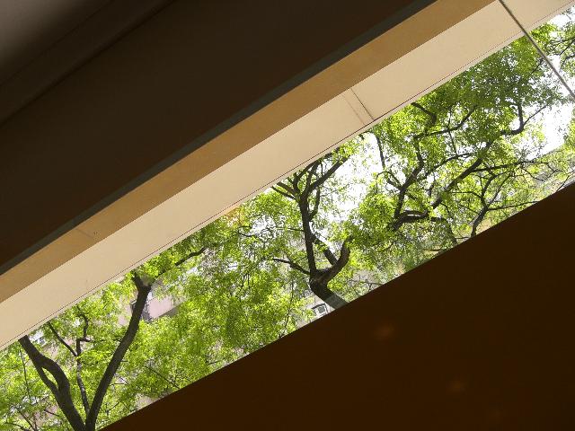 [CIMG4467+menor.jpg]