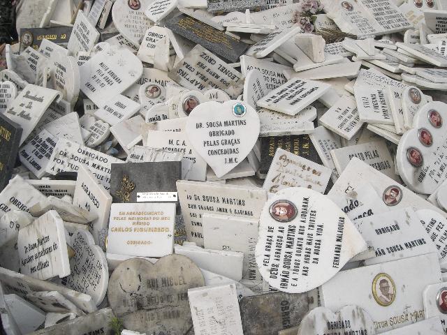 [CIMG4795+menor.jpg]