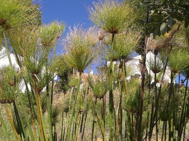 [CIMG4836+menor.jpg]