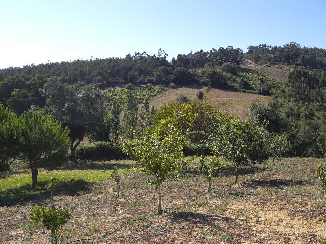 [CIMG4812+menor.jpg]