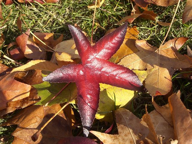 [CIMG5612+menor.jpg]