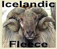 Ingleside Icelandics