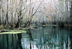 Ichetucknee River