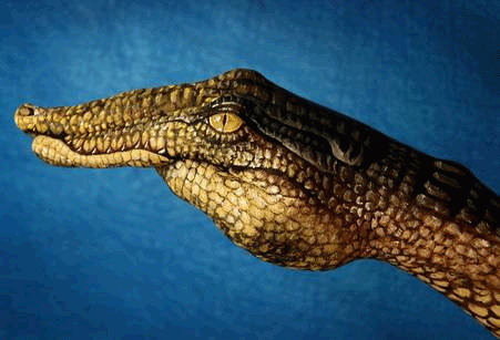 [hand-art-alligator.gif]