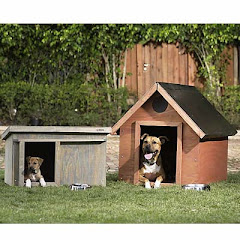 Build a Doghouse