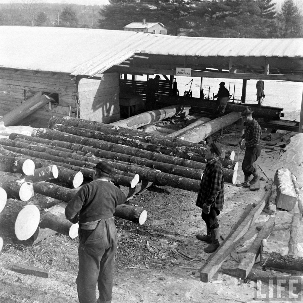 Cricket's Tree A History and Heritage The FrancoAmericans in