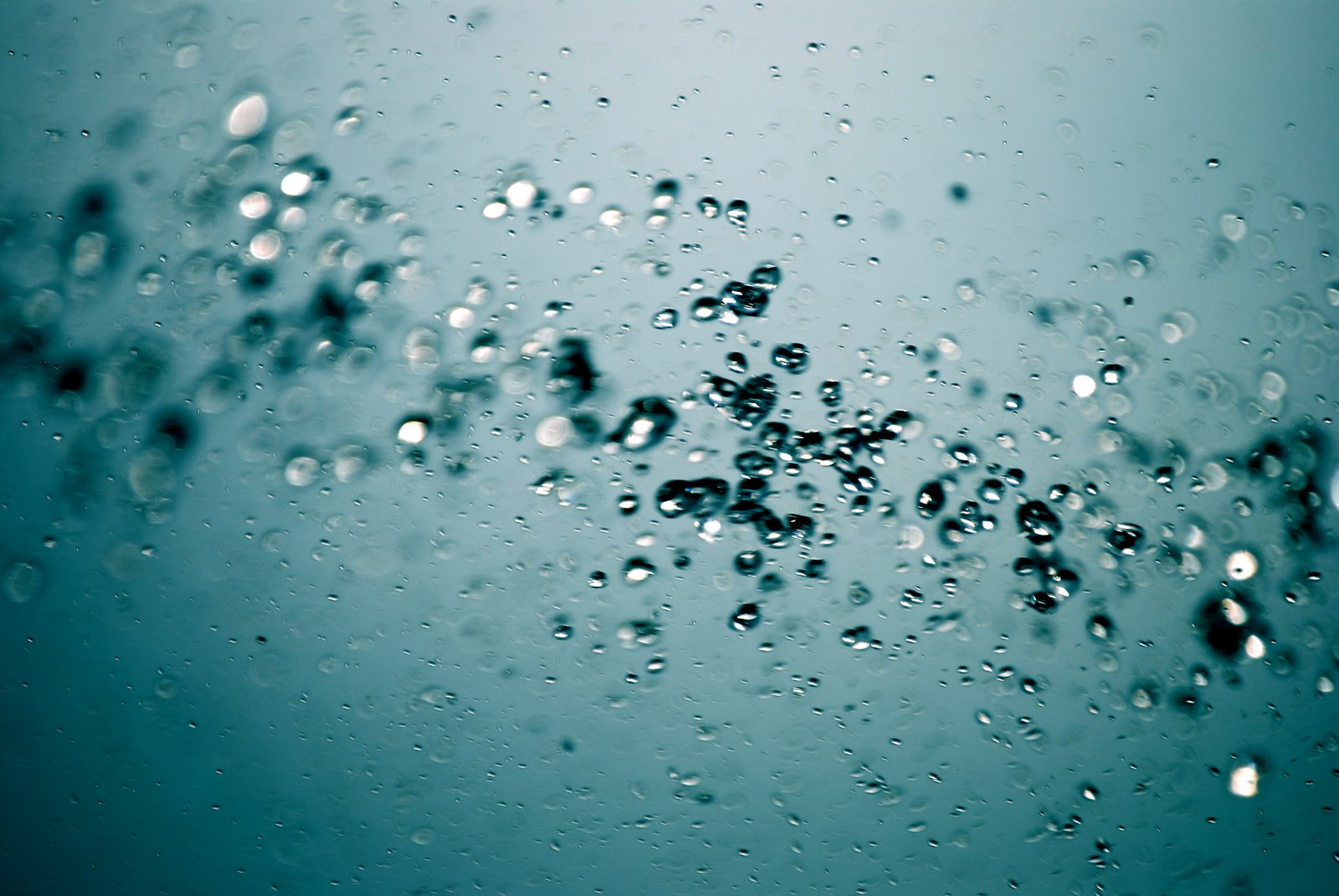 [1009554_73039793.jpg]