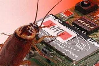 Cucaracha en pleno 'romance' con su homóloga robot, dutante uno de los experimentos.