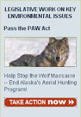 STOP ALASKA'S AERIAL HUNTING